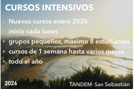 Español y Surf en la Zurriola