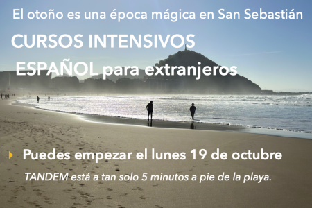 Cursos Intensivos de Español